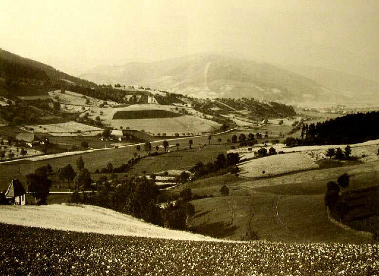 Blick von der Brand in Richtung Haslach